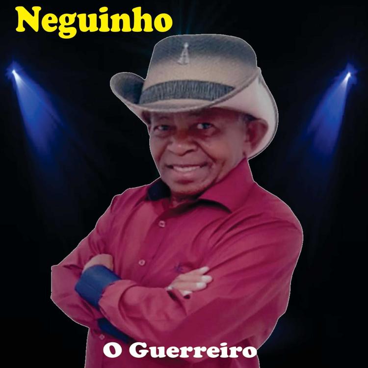 Neguinho's avatar image