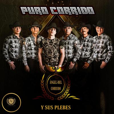 Narcos Encañonados's cover