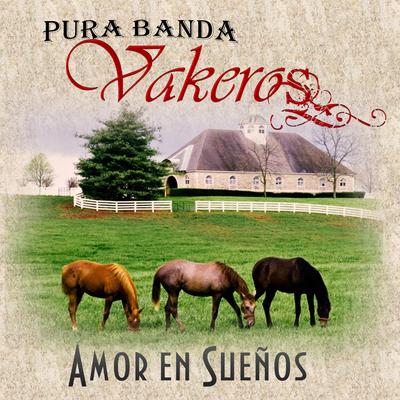 Pura Banda Vakeros's cover