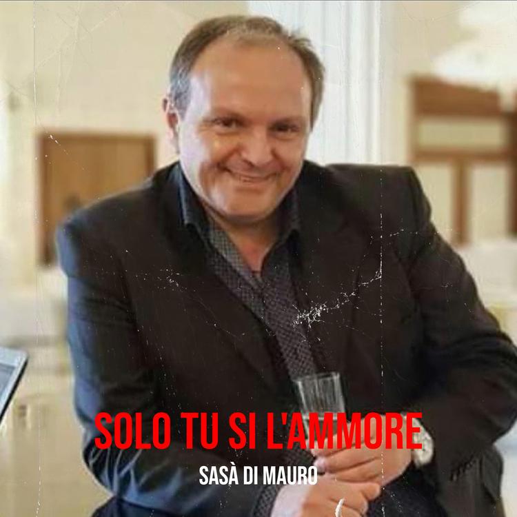 sasa' di mauro's avatar image