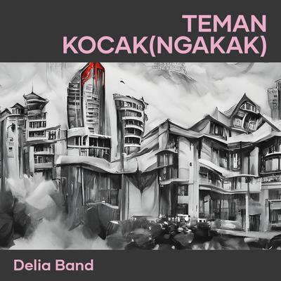 Teman kocak(ngakak)'s cover