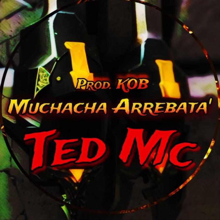 Ted MC's avatar image