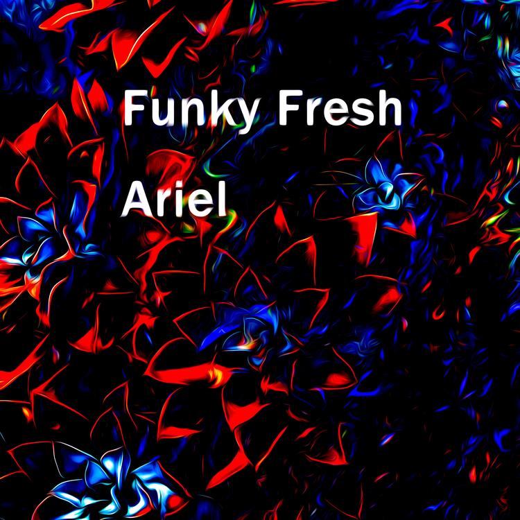 Funky Fresh's avatar image