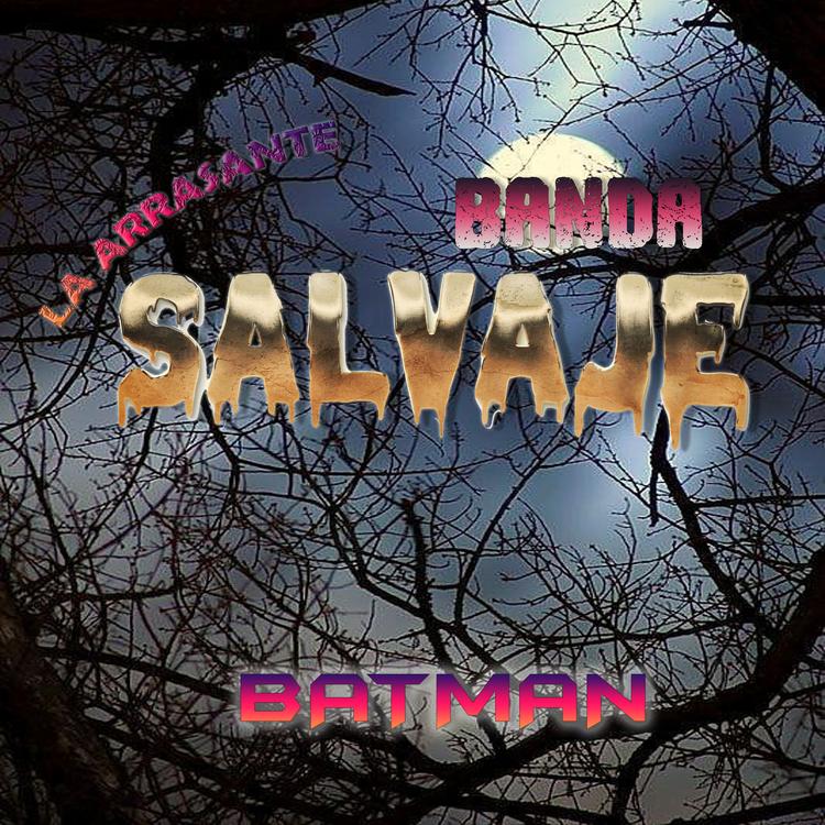 La Arrasante Banda Salvaje's avatar image