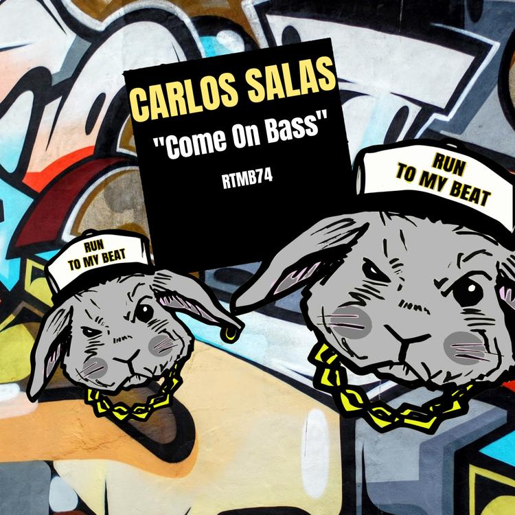 Carlos Salas's avatar image