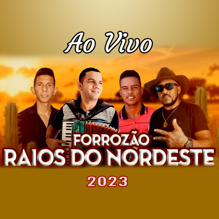 Forrozão Raios do Forró's avatar image