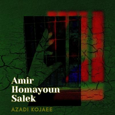 Amir Homayoun Salek's cover