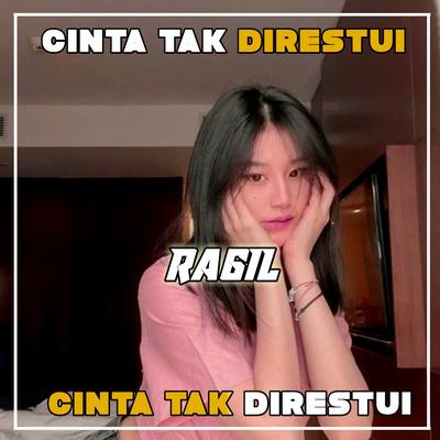 Cinta Tak Direstui's cover