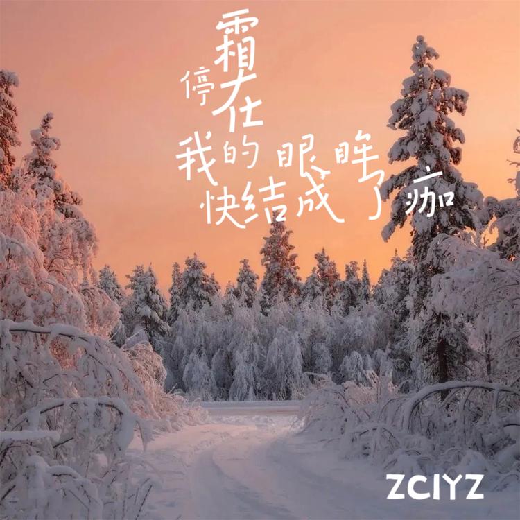 ZCIYZ's avatar image