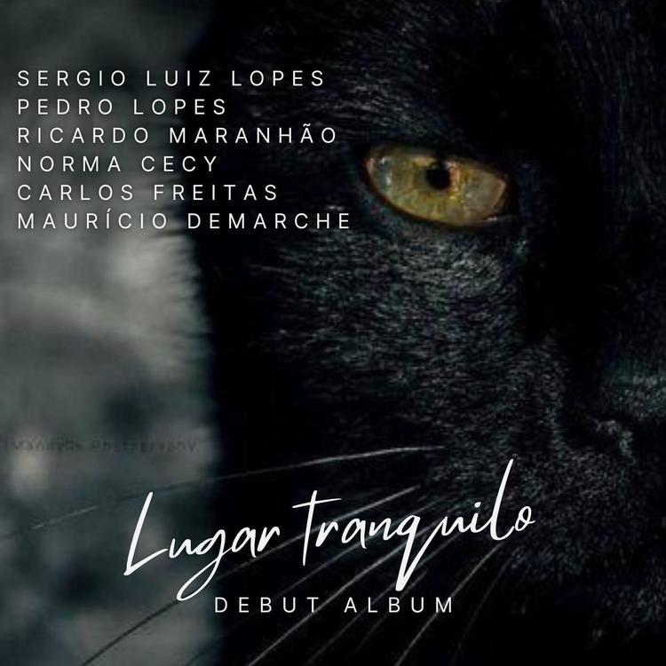 Sergio Luiz Lopes's avatar image