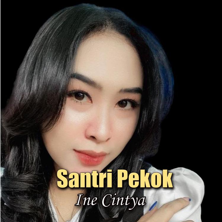 Ine Cintya's avatar image