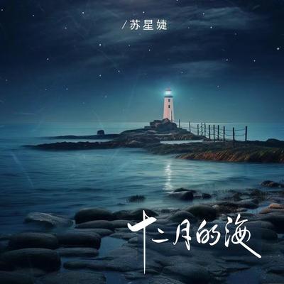 十二月的海's cover