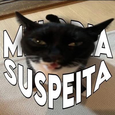 MELODIA SUSPEITA (Slowed)'s cover