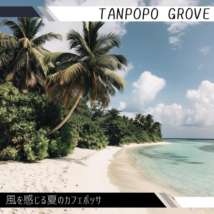 Tanpopo Grove's avatar image