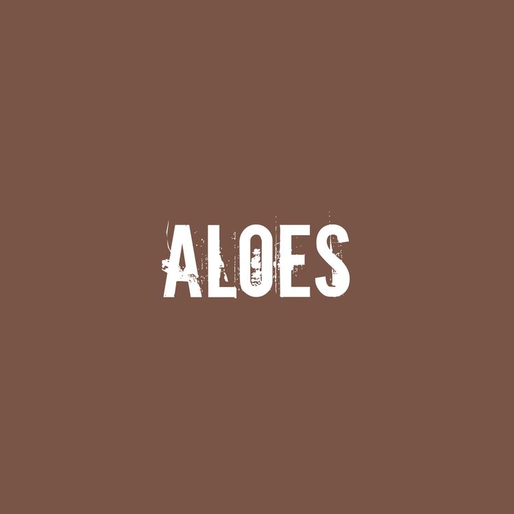 Aloes's avatar image