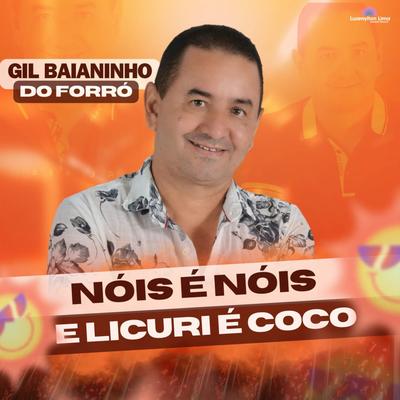 Nós É Nós e Licuri É Coco By Gil Baianinho do Forró's cover