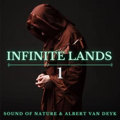 Ice Woman By Albert Van Deyk, Sound of Nature's cover