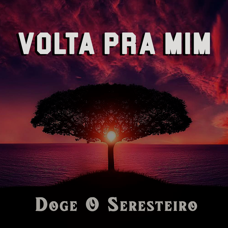 Doge O Seresteiro's avatar image