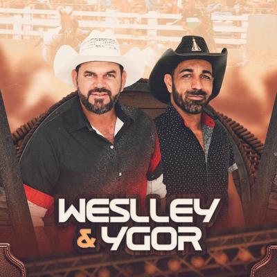 Foi Meu Desgosto By Weslley e ygor's cover