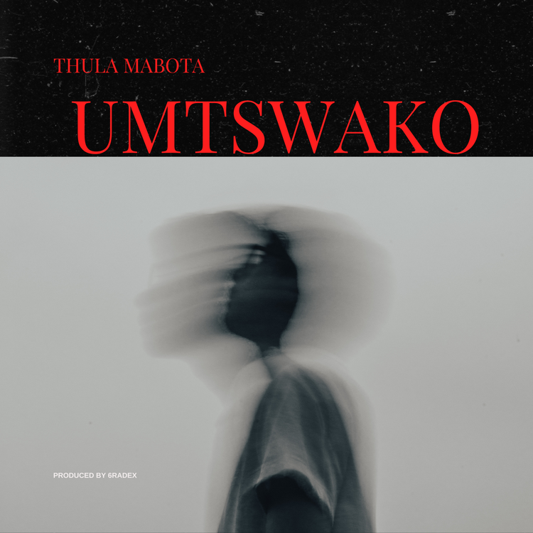 Thula Mabota's avatar image