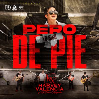 Pero Yo Sigo De Pie's cover