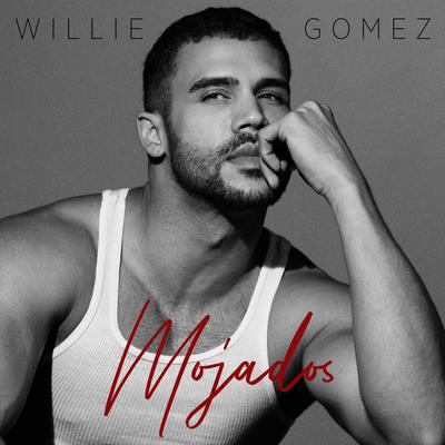 Mojados By Willie Gomez's cover