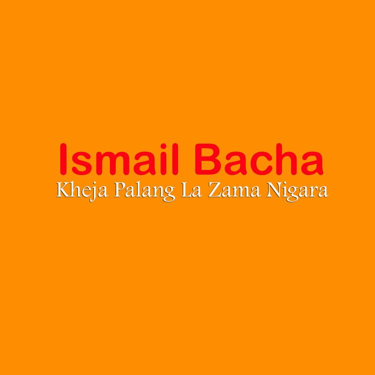 Ismail Bacha's avatar image