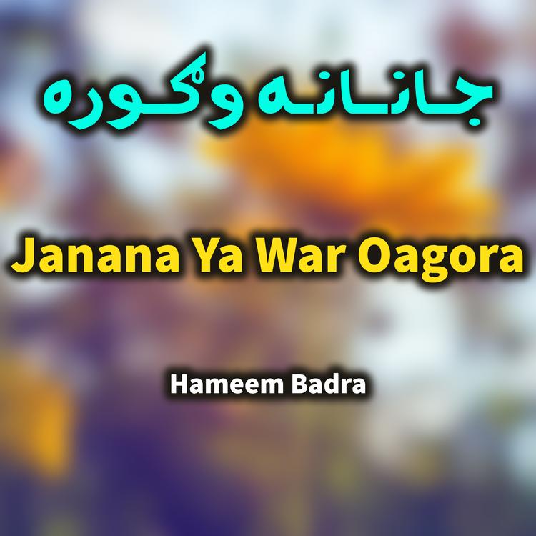 Hameem Badra's avatar image