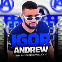 Igor Andrew's avatar cover