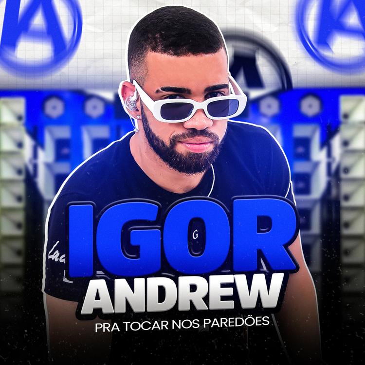 Igor Andrew's avatar image