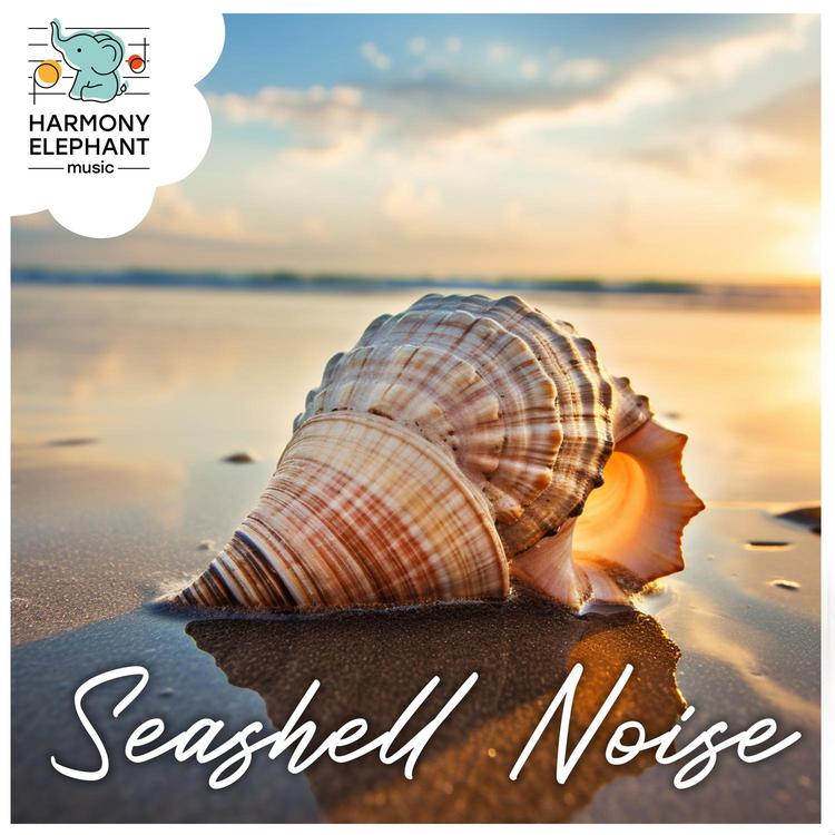 Seashell Noise's avatar image