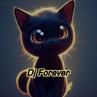 Dj Forever By Kang Bidin's cover