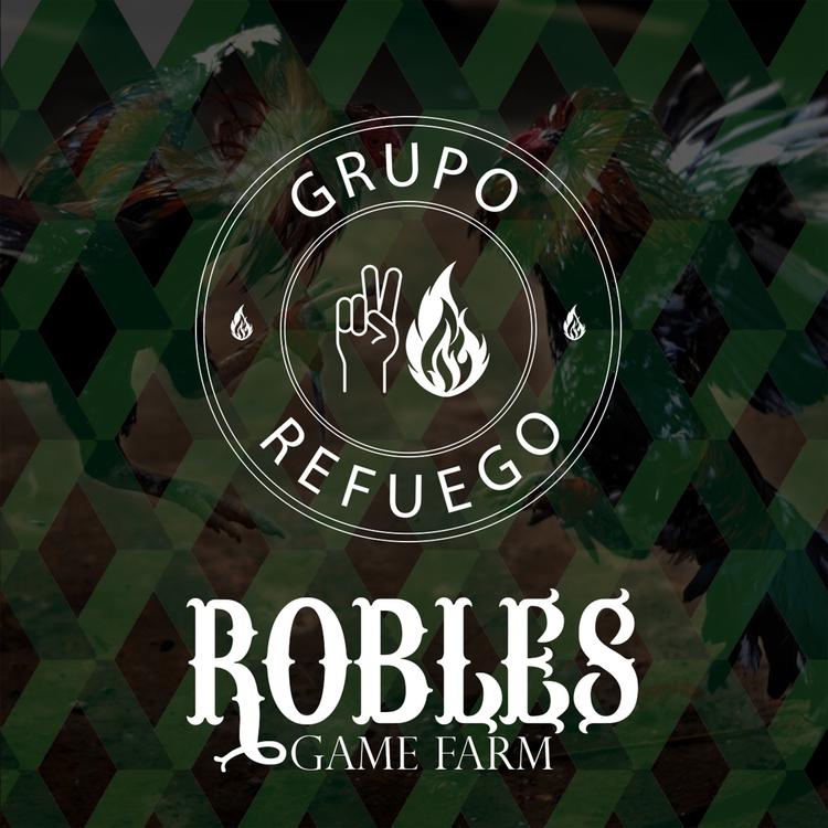 Grupo Refuego's avatar image