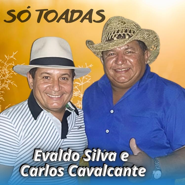 Evaldo Silva e Carlos Cavalcante's avatar image