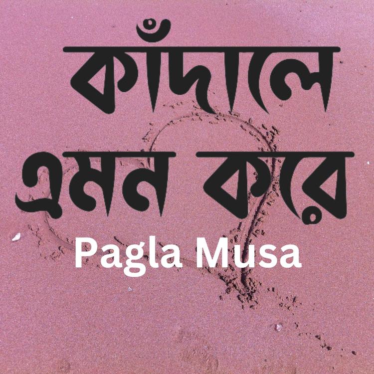 Pagla Musa's avatar image