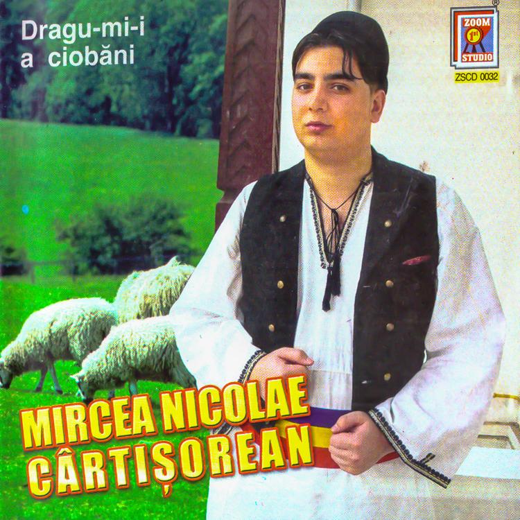 Mircea Nicolae Cârțișorean's avatar image