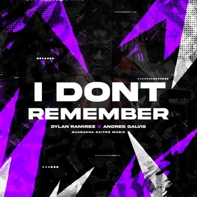 I DONT REMEMBER's cover