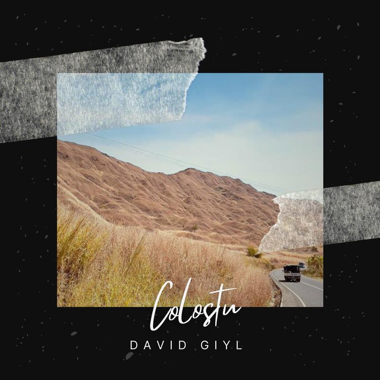 David Giyl's avatar image