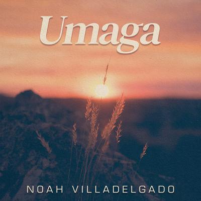 Noah Villadelgado's cover