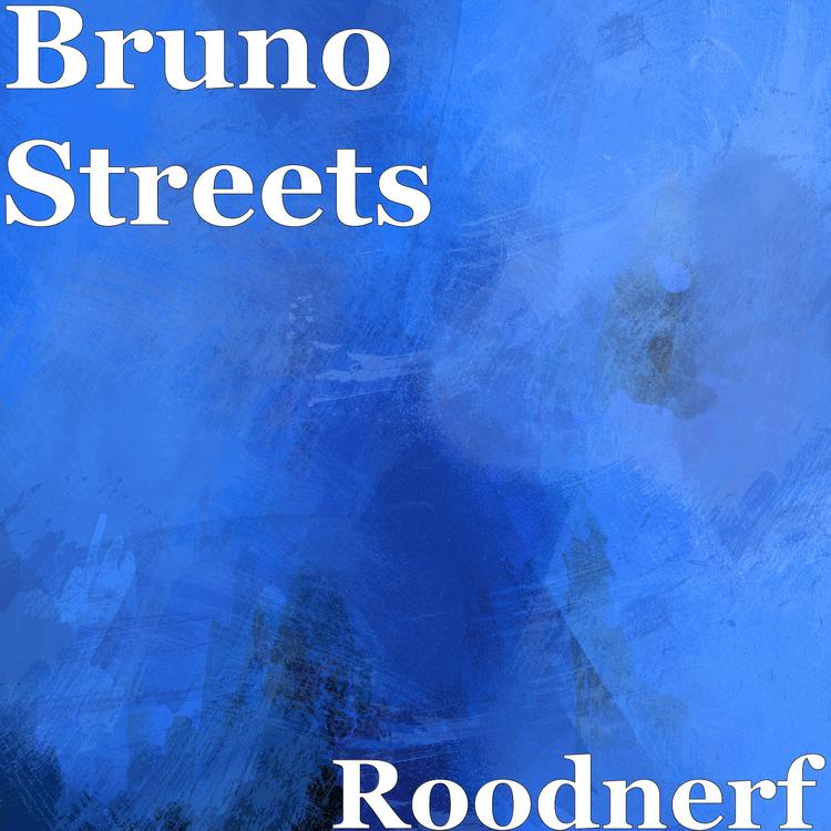 Bruno Streets's avatar image
