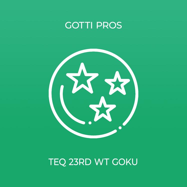 Gotti Pros's avatar image