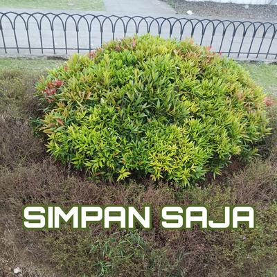 Simpan Saja's cover