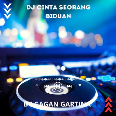 DJ Cinta Seorang Biduan's cover