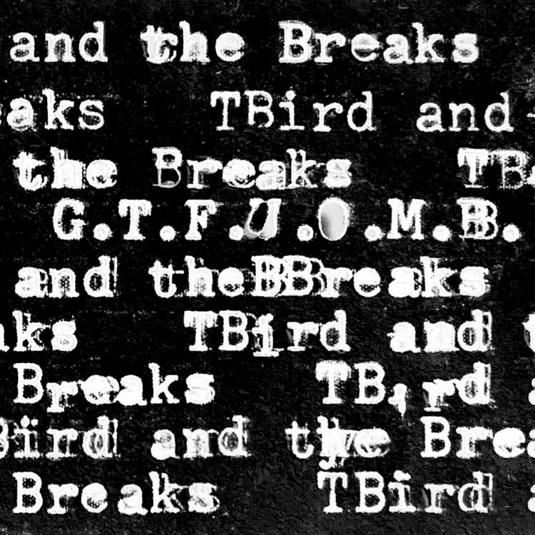 T Bird and the Breaks's avatar image