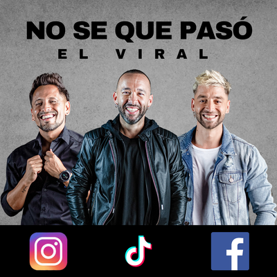 No se que pasó - El viral's cover