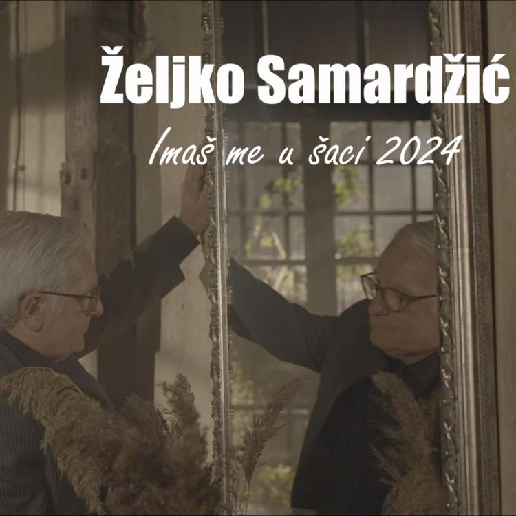 Zeljko Samardzic's avatar image