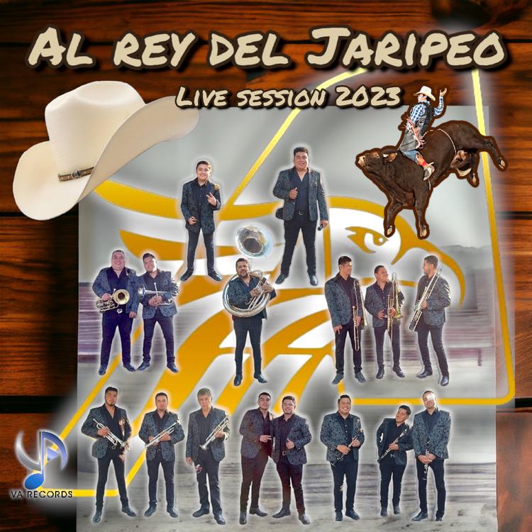 Banda Aguilas's avatar image