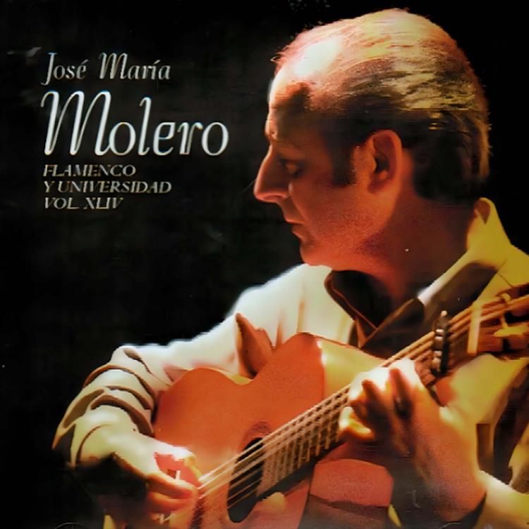 José María Molero's avatar image