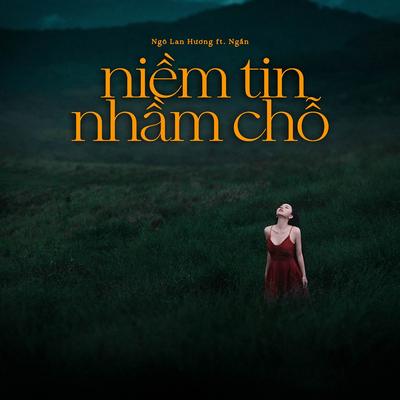 Niềm tin nhầm chỗ's cover