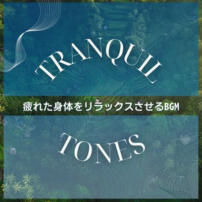 A Momentary Peace By Tranquil Tones's cover